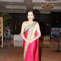 Catherine Tresa - Madras Movie Audio Launch Photos | Picture 768554