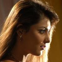 Madhu Shalini - Kalpana House Movie Stills | Picture 720978