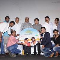 Nalanum Nandhiniyum Movie Audio Launch Photos