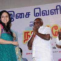 Nagercoil Sandhippu Movie Audio Launch Photos | Picture 754208