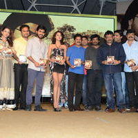 Satya 2 Movie Audio Launch Stills | Picture 575696