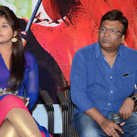 Geethanjali Movie Press Meet Photos | Picture 790657