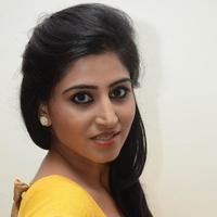 Shamili Special Gallery | Picture 796443