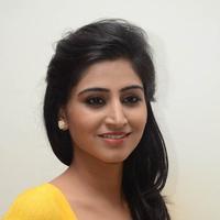 Shamili Special Gallery | Picture 796445