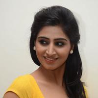 Shamili Special Gallery | Picture 796447