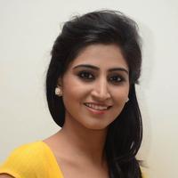 Shamili Special Gallery | Picture 796448