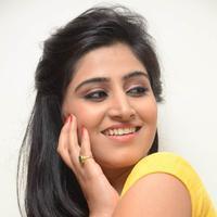 Shamili Special Gallery | Picture 796450