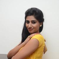 Shamili Special Gallery | Picture 796475