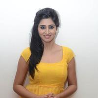 Shamili Special Gallery | Picture 796478