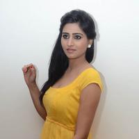Shamili Special Gallery | Picture 796479