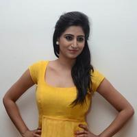 Shamili Special Gallery | Picture 796482