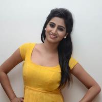 Shamili Special Gallery | Picture 796484