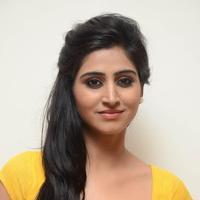 Shamili Special Gallery | Picture 796494