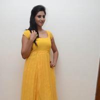Shamili Special Gallery | Picture 796495