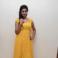 Shamili Special Gallery | Picture 796496