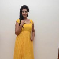 Shamili Special Gallery | Picture 796497
