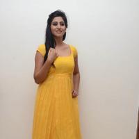 Shamili Special Gallery | Picture 796498