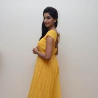 Shamili Special Gallery | Picture 796499