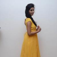 Shamili Special Gallery | Picture 796500
