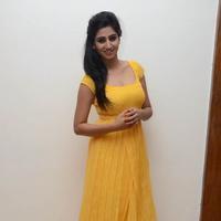 Shamili Special Gallery | Picture 796502