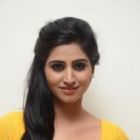 Shamili Special Gallery | Picture 796503
