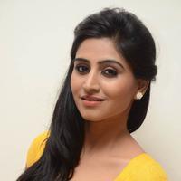 Shamili Special Gallery | Picture 796505
