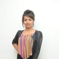 Tejaswi Madivada Special Gallery | Picture 798451