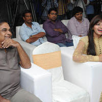 Geethanjali Movie Success Meet Photos | Picture 798542