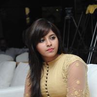 Anjali (Actress) - Geethanjali Movie Success Meet Photos | Picture 798545