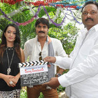 Jalsa Rayudu Movie Opening Stills | Picture 799571