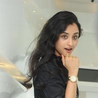 Madirakshi Mundle Pictures Gallery | Picture 800124