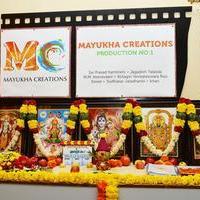 Mayukha Creations Movie Pooja Stills | Picture 799426