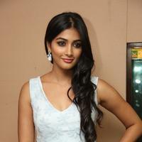 Pooja Hegde New Pictures | Picture 799780