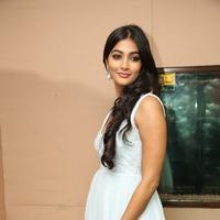 Pooja Hegde New Pictures | Picture 799793