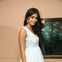 Pooja Hegde New Pictures | Picture 799799