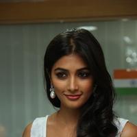 Pooja Hegde New Pictures | Picture 799825
