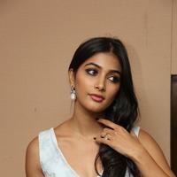 Pooja Hegde New Pictures | Picture 799856