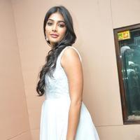 Pooja Hegde New Pictures | Picture 799864