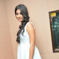 Pooja Hegde New Pictures | Picture 799869