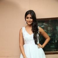 Pooja Hegde New Pictures | Picture 799873