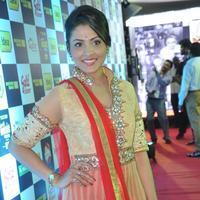 Madhu Shalini - Celebs at South Indian Mirchi Music Awards 2013 Photos | Picture 802214