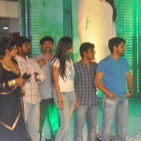 Oka Laila Kosam Movie Audio Launch at PVP Vijayawada Photos | Picture 803851