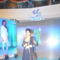 Oka Laila Kosam Movie Audio Launch at PVP Vijayawada Photos | Picture 803867