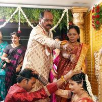 Rambabu Varma Daughter Marriage Photos | Picture 803880