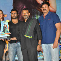 Nee Jathaga Nenundali Movie Platinum Disc Function Photos | Picture 805354