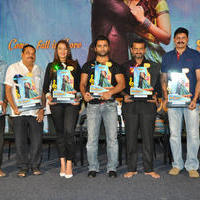Nee Jathaga Nenundali Movie Platinum Disc Function Photos | Picture 805361