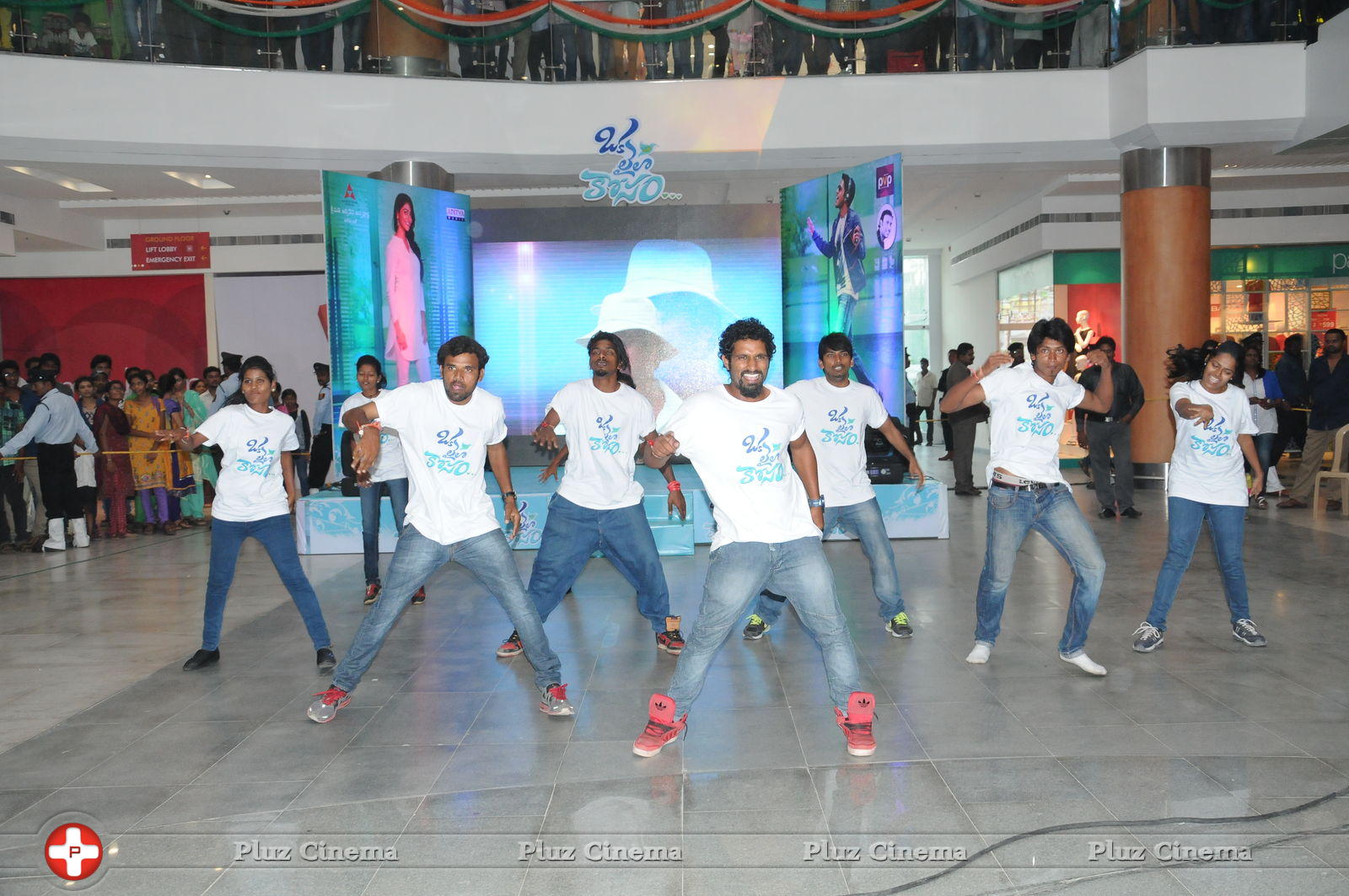 Oka Laila Kosam Movie Audio Launch at PVP Vijayawada Photos | Picture 805281