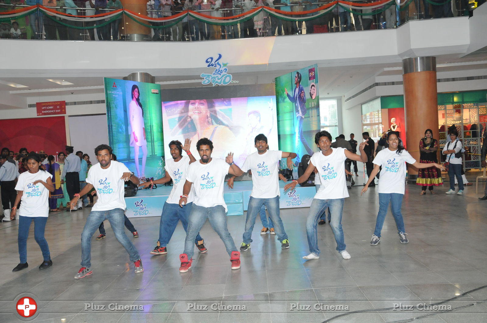 Oka Laila Kosam Movie Audio Launch at PVP Vijayawada Photos | Picture 805282