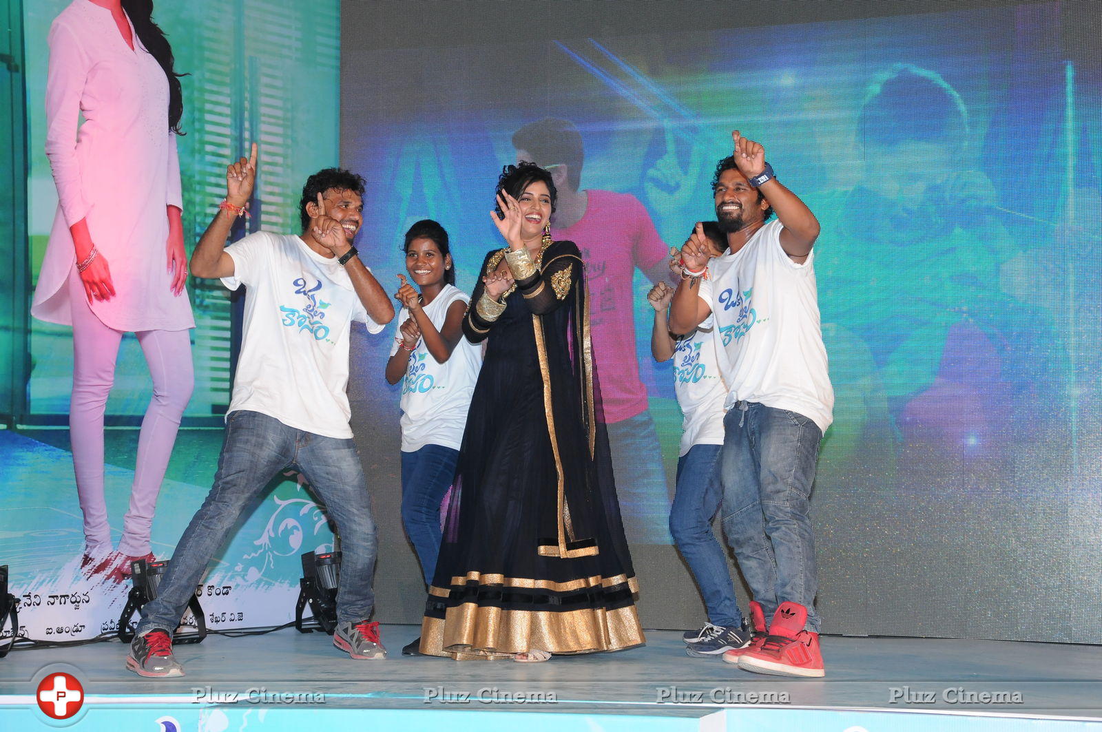 Oka Laila Kosam Movie Audio Launch at PVP Vijayawada Photos | Picture 805298