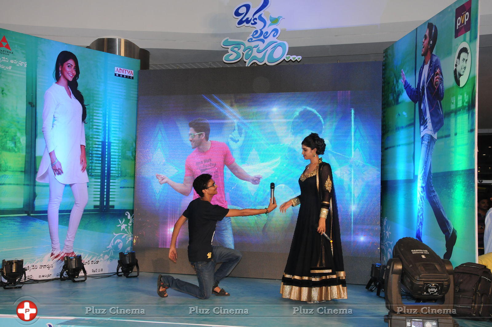 Oka Laila Kosam Movie Audio Launch at PVP Vijayawada Photos | Picture 805301